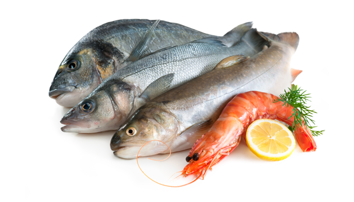 Fish